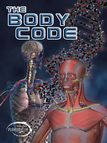 TheBodyCode