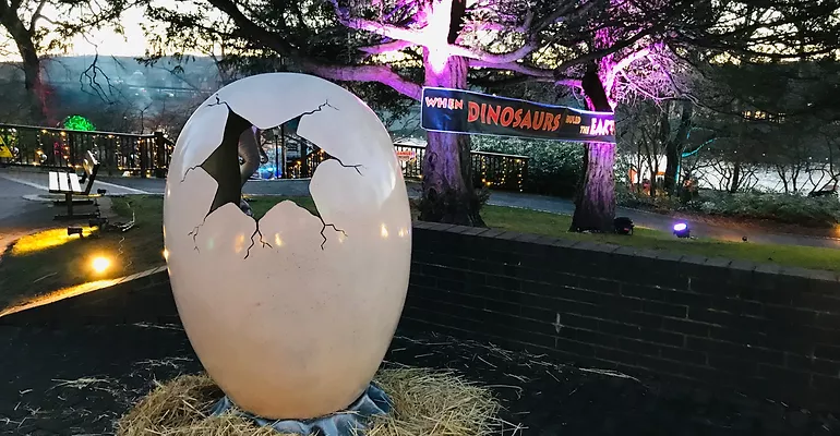 Dinosaurs Egg